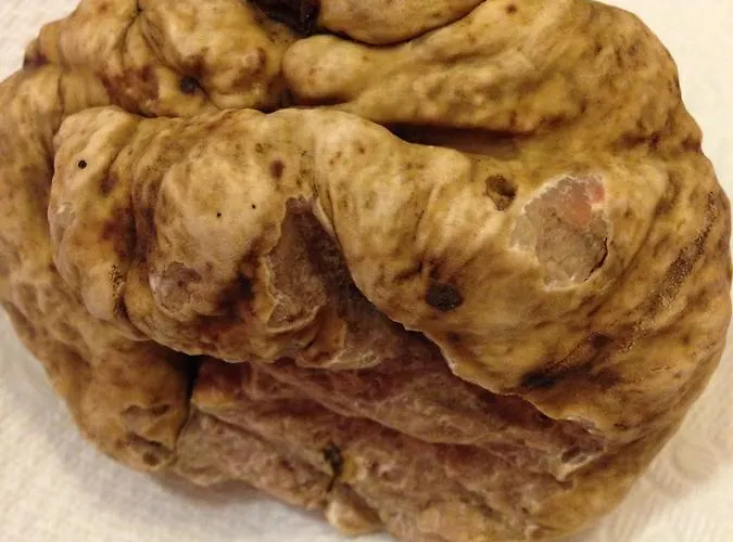 Ξενοδοχείο L' Anfora Atessa